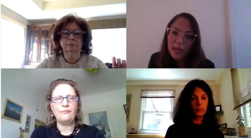 cape mental health panel