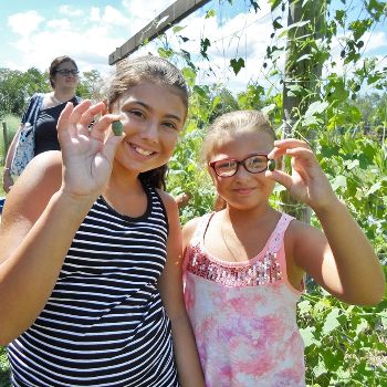 queensfarmcamp