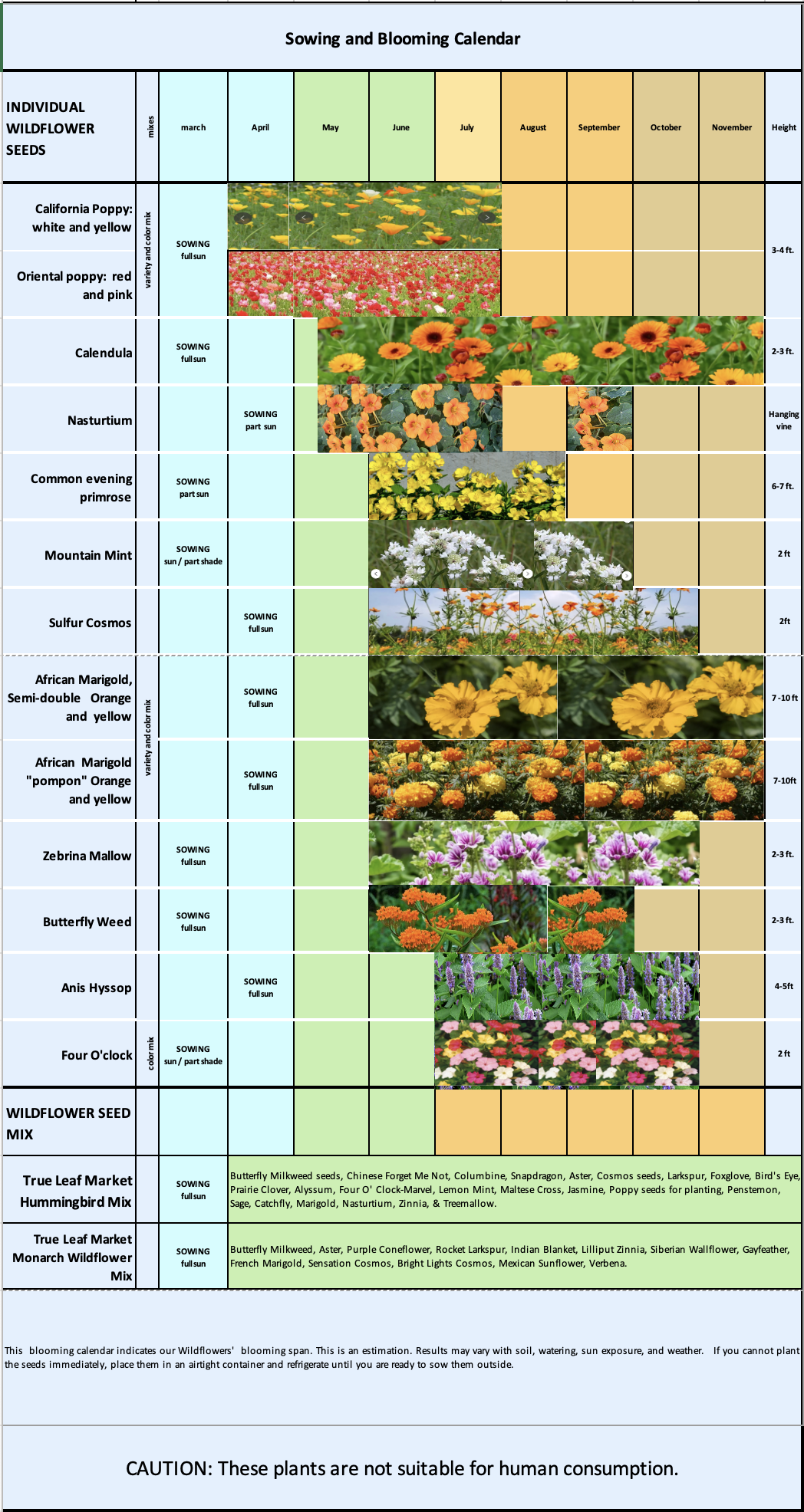 A calendar chart displays sowing and blooming times for various Wildflower Seeds, with flower images, notes about sowing conditions, edibility, and details about the Central Queens Gardens Giveaway.